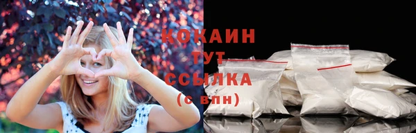 крисы Арсеньев