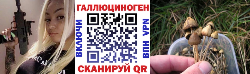 как найти   Бутурлиновка  MEGA как зайти  Псилоцибиновые грибы ЛСД 